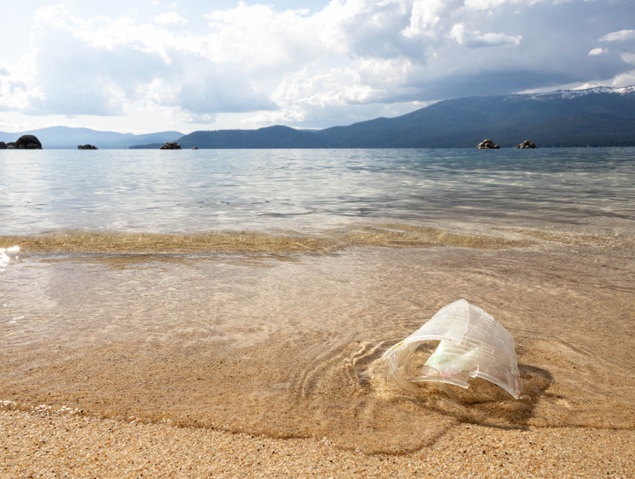 A plastic cup floats on the shoreline of Lake Tahoe