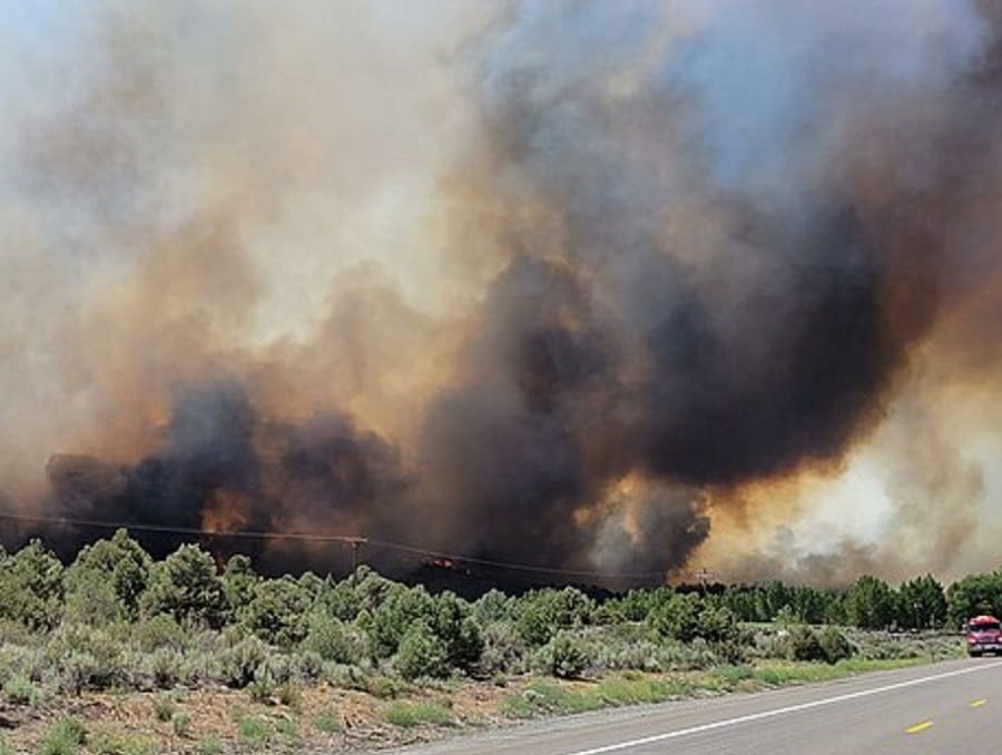 Dark smoke is rising from a wildfire consuming trees and shrublands alongside a country road.