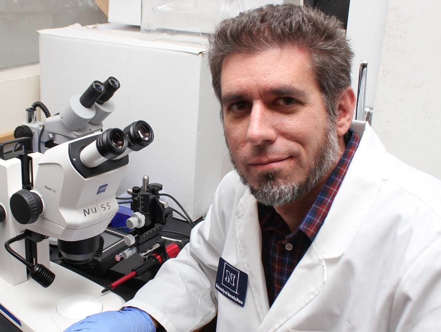 Assistant Professor Andrew Nuss in his lab with a microscope. 