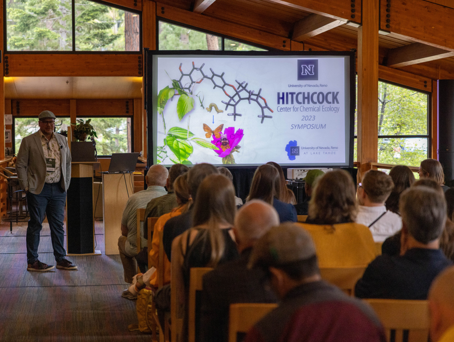 Presentation in the Prim Library