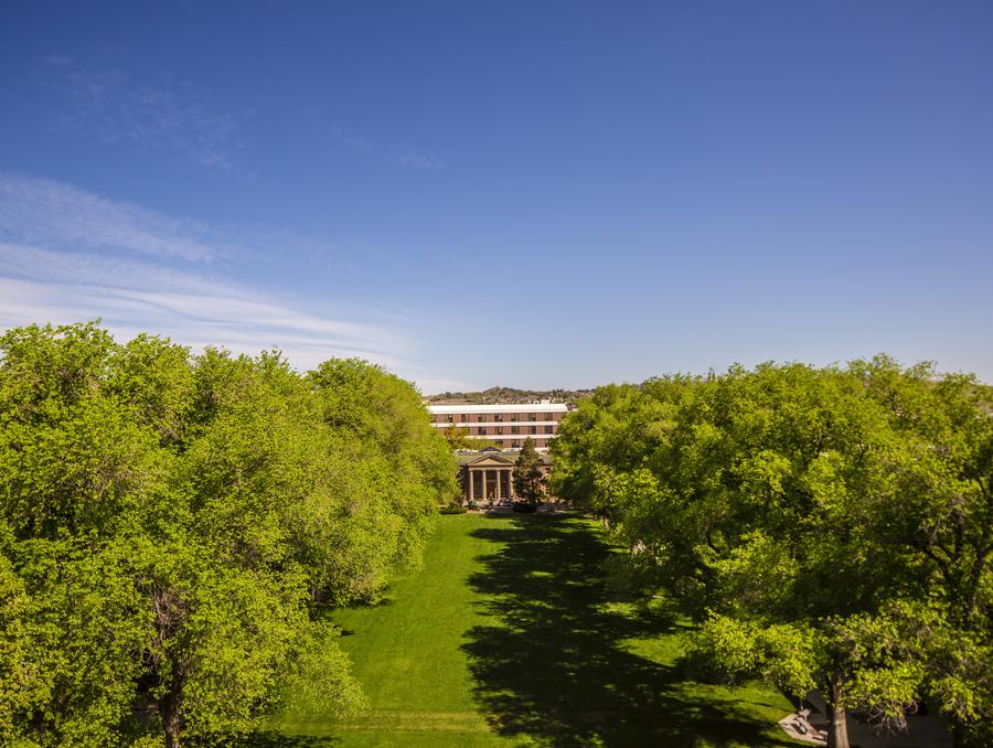 A view of the green lawn and full trees of the University's quad.