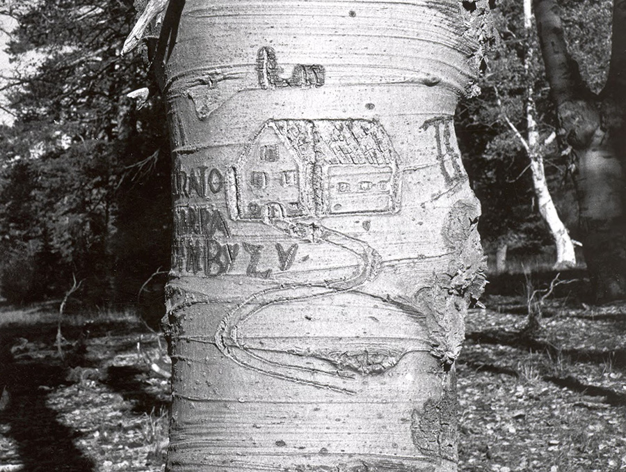 Basque arborglyph of a building structure.