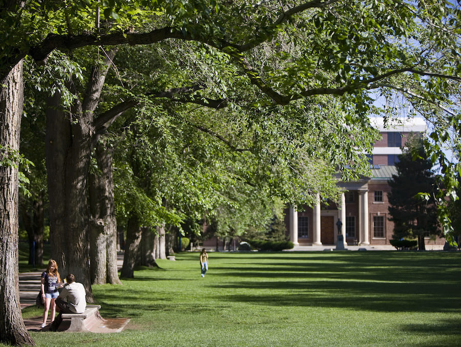The University of Nevada, Reno quad in summer with people sitting on benches lined on the grass.