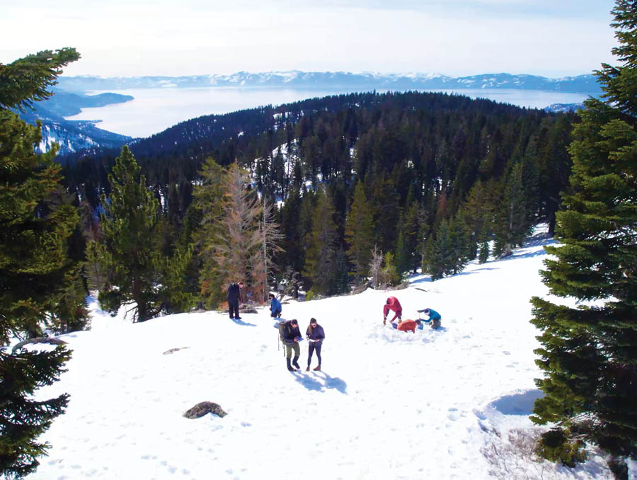 3 groups of students in Tahoe Meadows in a hands-on class in the snow. The groups appear to be looking at papers and examining the snow.