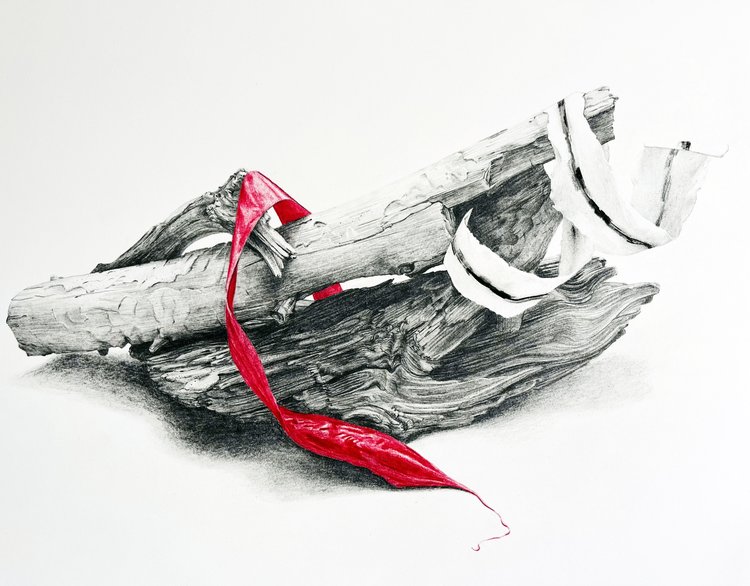 Drawing by Kelly Chorpening of a branch with plastic