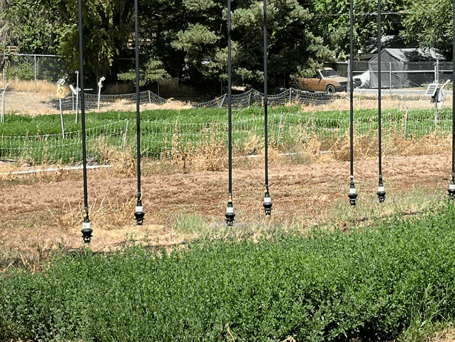 A linear move precision irrigation system delivering water to an alfalfa field.