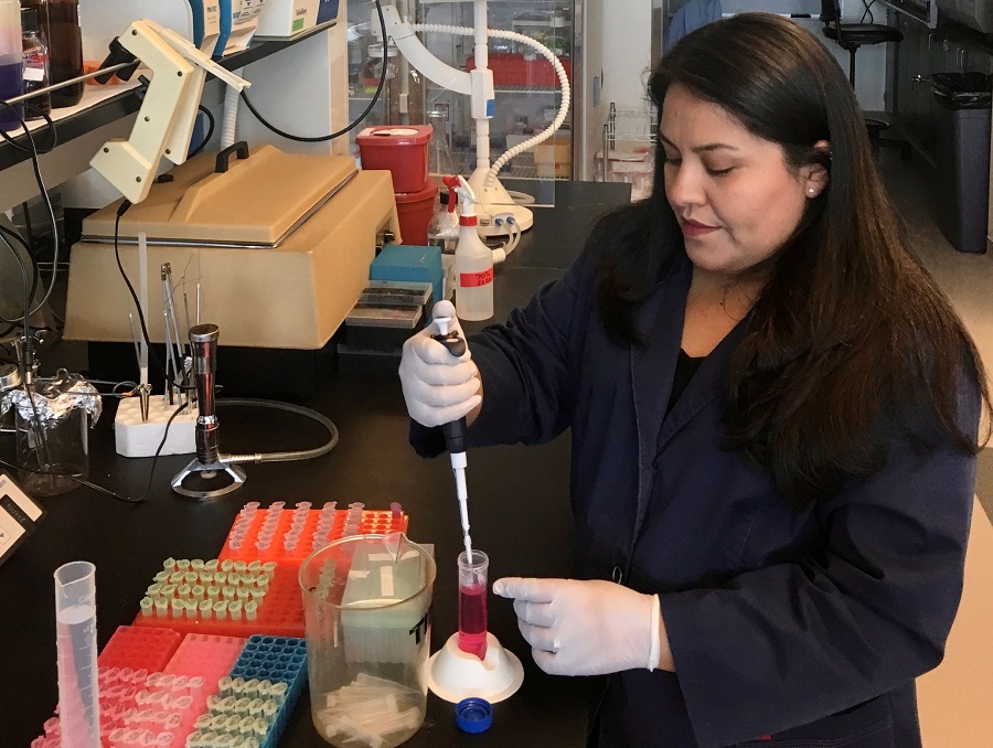 Karla Hernandez conducts research in a lab.
