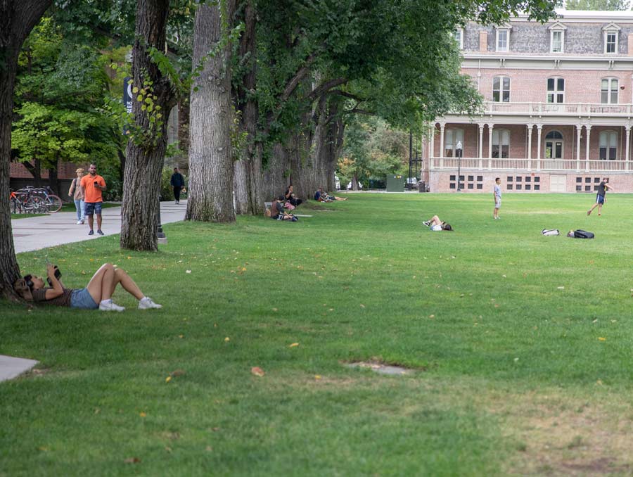 A south-facing shot of the University Quad, with students lying against trees, walking along the Quad, and throwing a football.