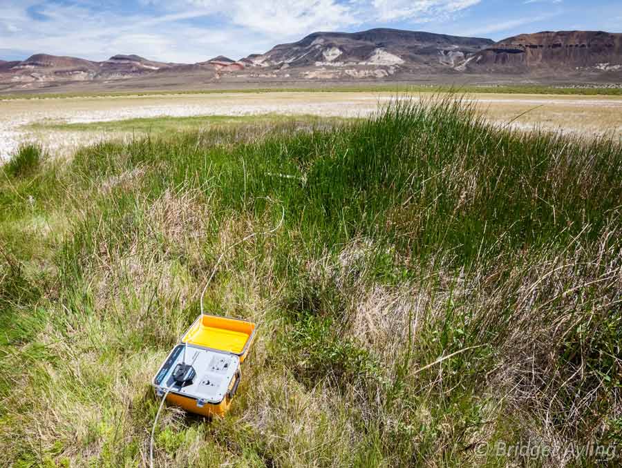 A boxy device with piping running in separate directions away from it sits in a marshy area in a basin.