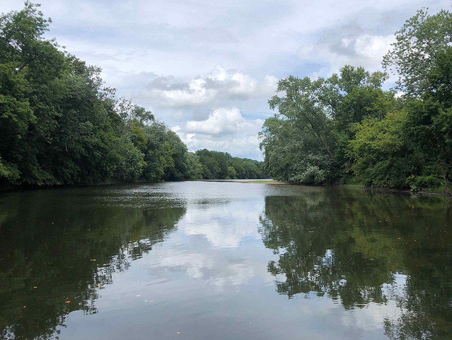 A wide river between trees.