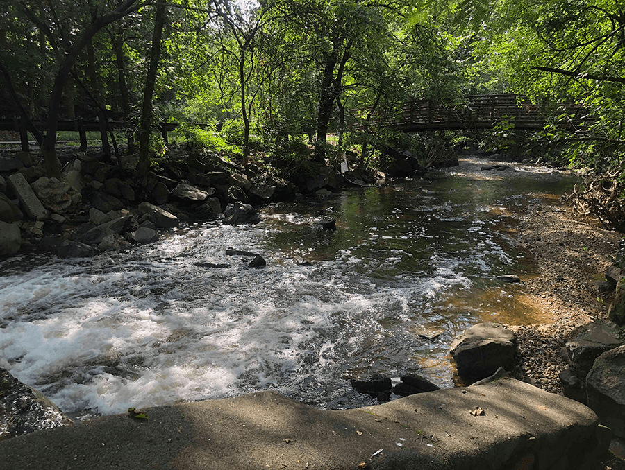 A river flowing with trees and a bridge.