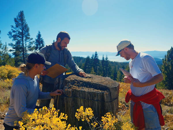 Chris Smith with two other students looking at a tree stum and measuring the age of the tree using tree rings