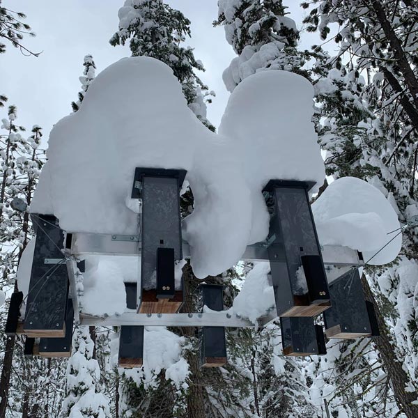 A series of devices, capped in snow, are suspended from surrounding trees.