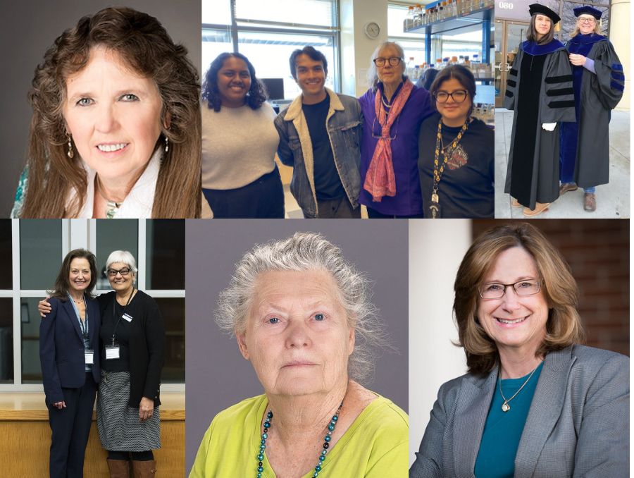 A photo collage with all the faculty members mentioned in the article.
