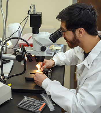 Cristian Franco looks into a microscope.