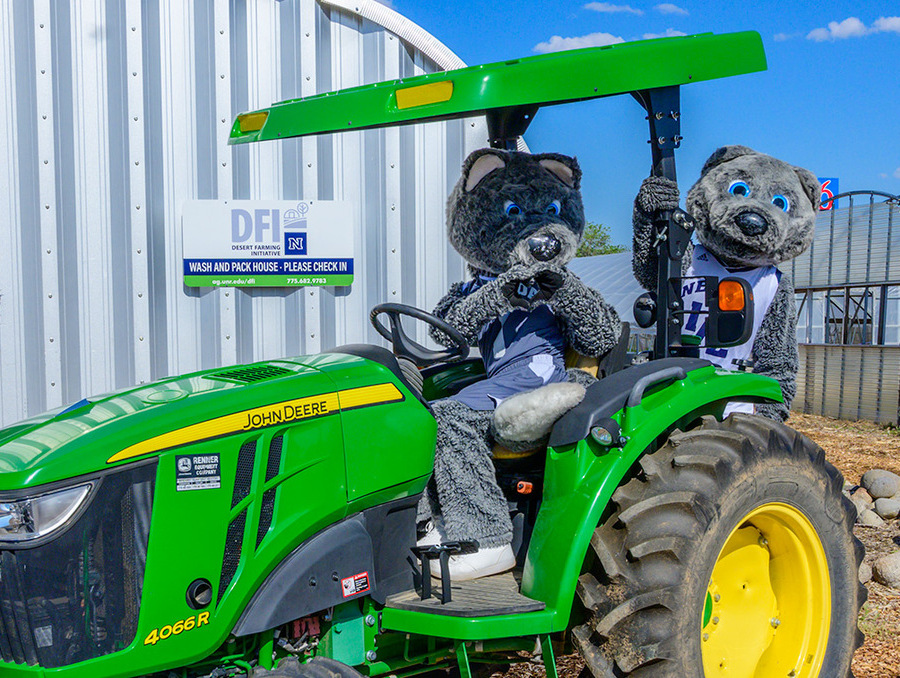 Two mascots riding on a green and yellow tractor.