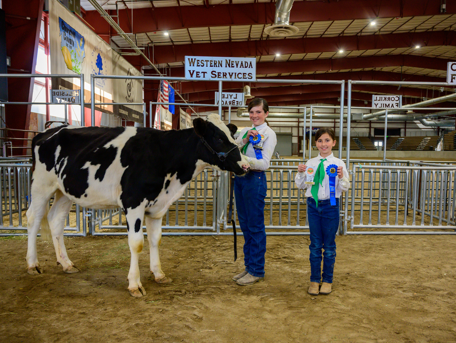 Two girls standing by a black and white cow holding award ribbons.