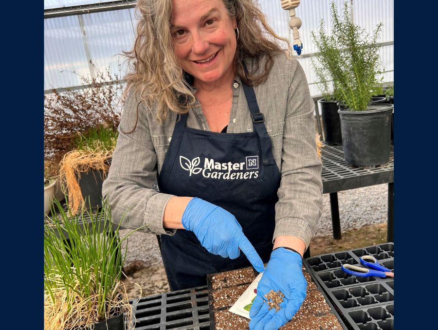 A smiling woman wearing a blue apron and gloves holds up soil in a hoop house, standing over a crate of dirt.