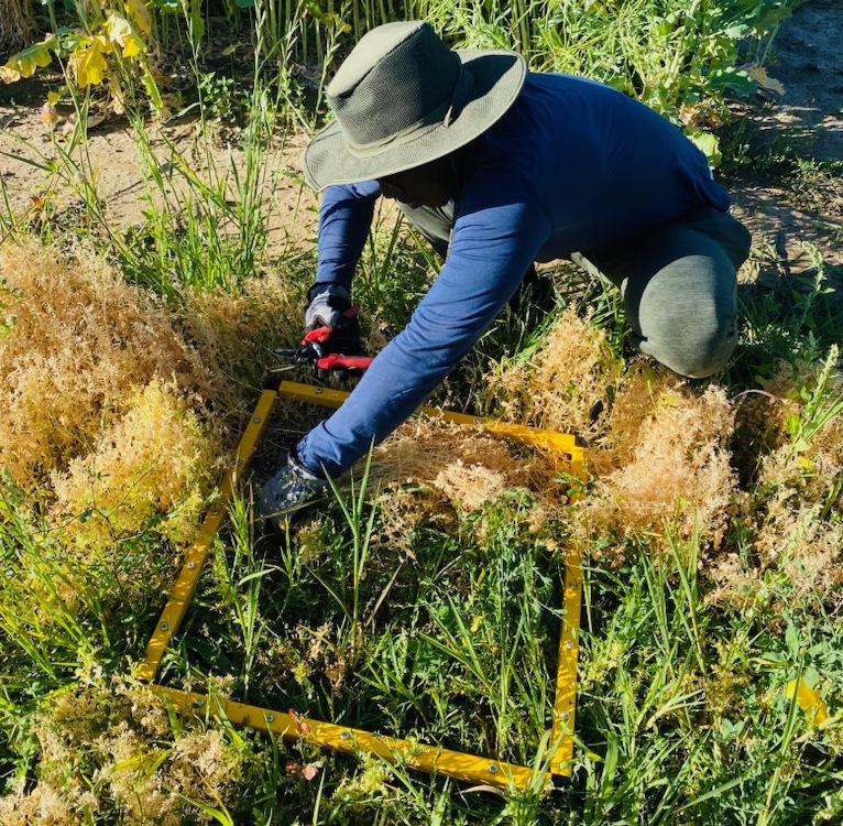 A crouching man in a hat placing yellow beams in a square on the ground.