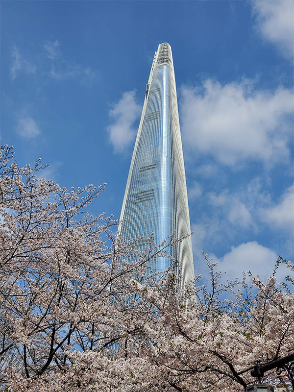 Skyscraper tower with cherry blossoms.