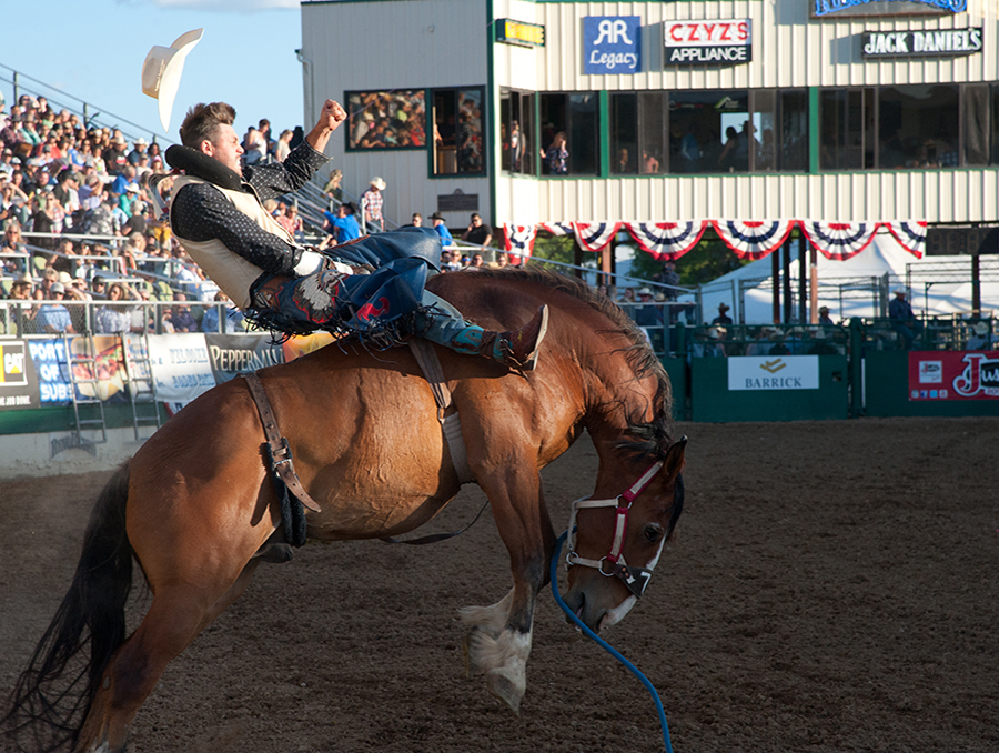 A bareback rider at the 2018 Reno Rodeo.