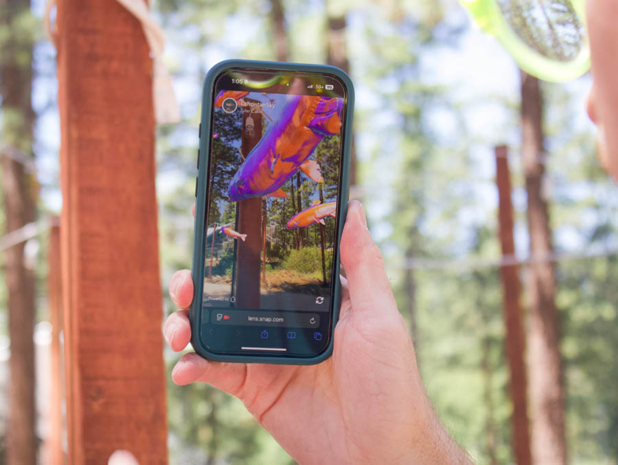 A phone showing virtual reality Lahontan Cutthroat Trout floating in the forest.