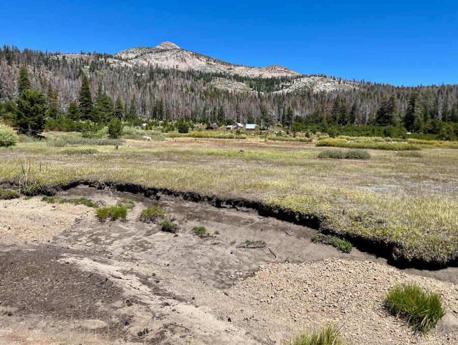 A lush green meadow below Mount Rose Summit in Nevada.