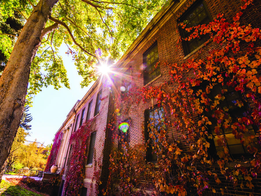 Frandsen Hummanities Building from outside during the fall with the leaves turning brown and crunchy and the sunlight poking through the foliage.