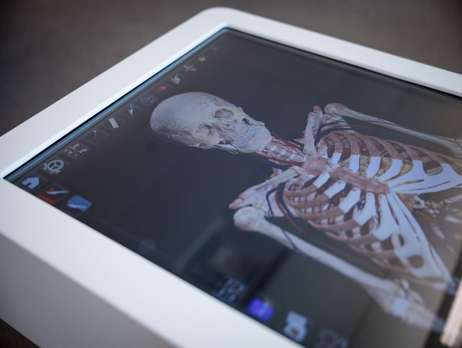 A high-definition Anatomage Table displays a detailed digital image of a human cadaver in a horizontal touchscreen format.