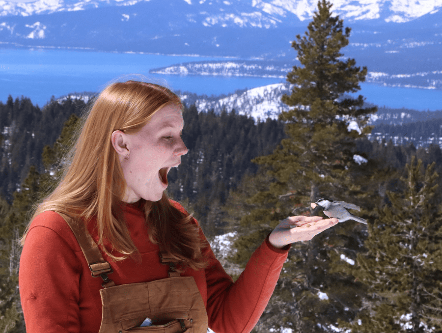 Ai Ana on a snowy hilltop in the mountains holding out her hand, smiling as a mountain chickadee bird has landed in it.