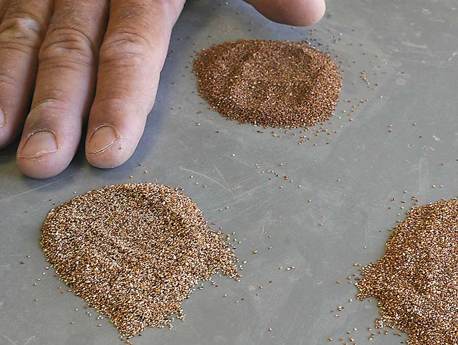 A farmer's weathered hand hovers over seeds smaller than grains of sand, in shades of reds, browns and tans.