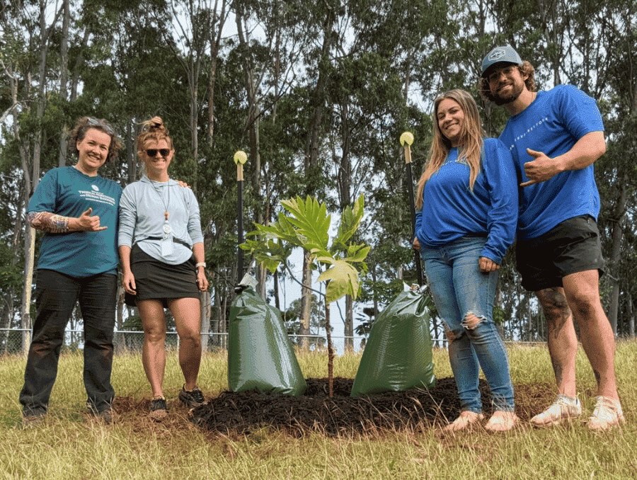 Teachers standing around a planted 'ulu tree.