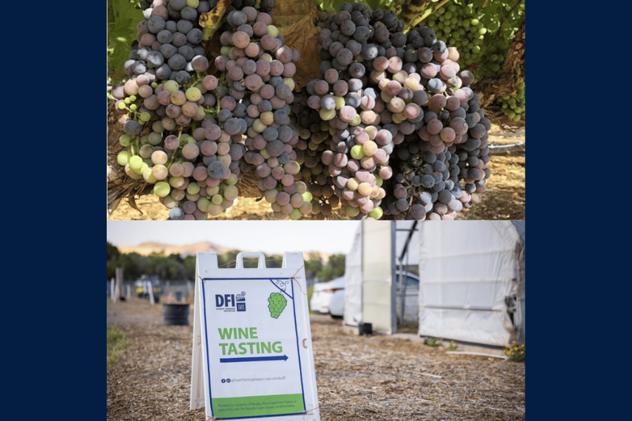 A photo collage features a grapevine at the top and a sign reading “Wine Tasting,” with an arrow pointing toward a hoop house, at the bottom.