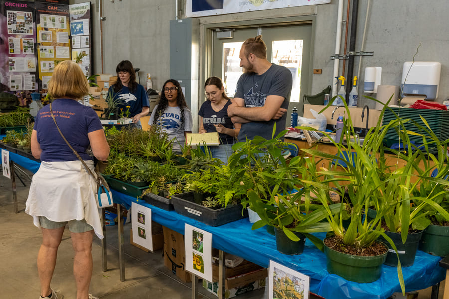 A man and three women standing behind a table full of potted plants, with one seemingly talking to a woman on the opposite end of the table.