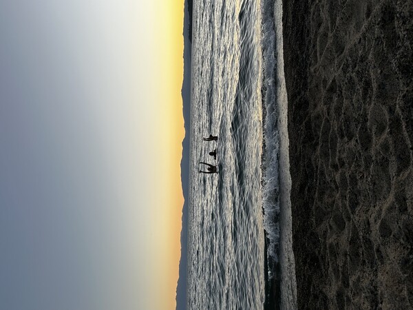 Students enjoying a night swim in Lake Tahoe.