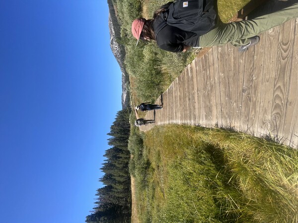 Students hiking in Sierra Nevada.