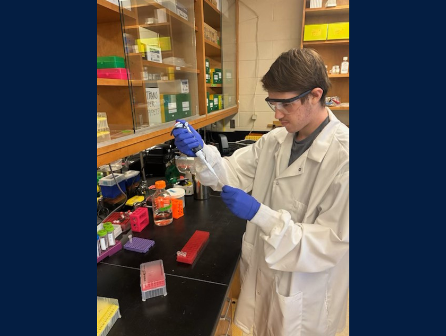 A man in a blue shirt and gloves dropping liquid in a test tube using a dropper.