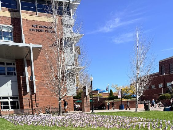 Flags on the lawn outside of the Joe.