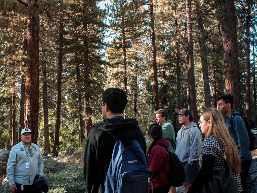 Professor leads students in group discussion in forest. 