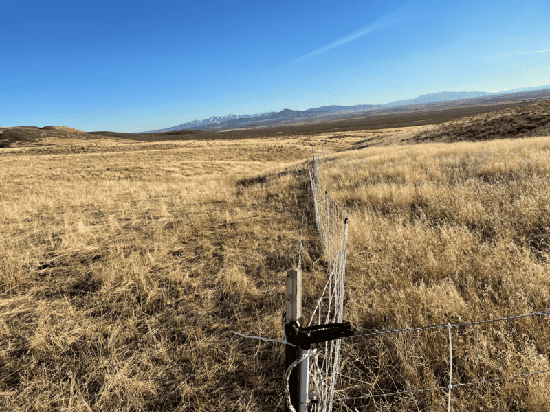 A view of a vast grassy plain with a barbed wire fence stretching into the distance, under a clear blue sky. In the background, distant mountains are visible on the horizon.
