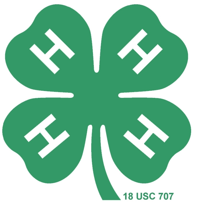 A green image with a four-leaf clover.