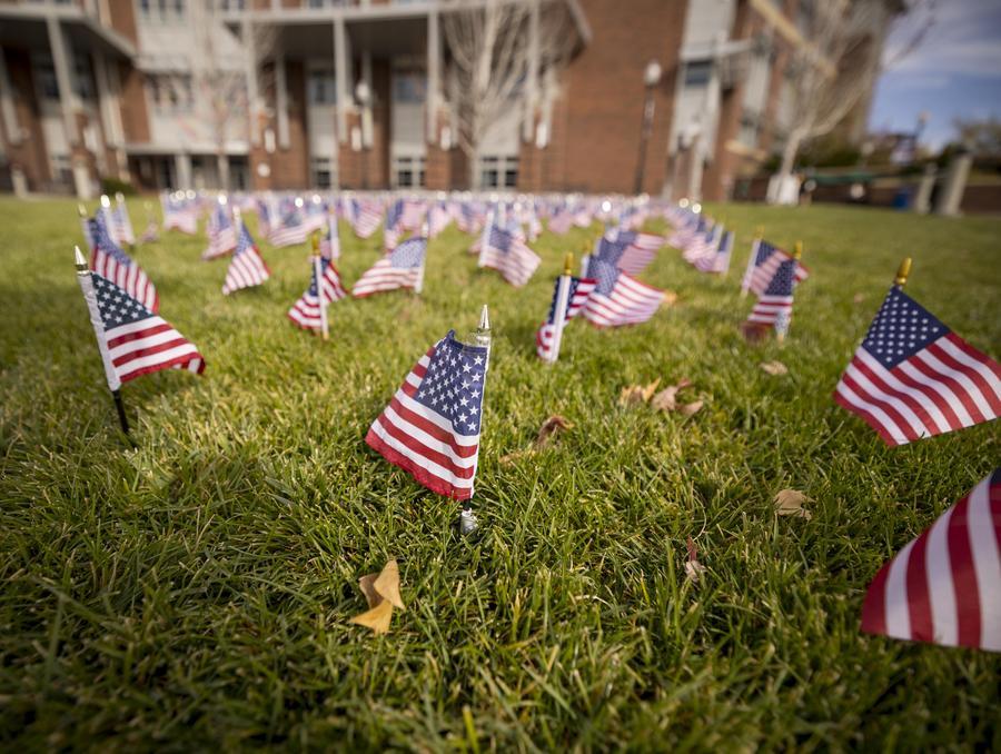 Small American flags planted into the grass in front of the Joe Crowley Student Union.
