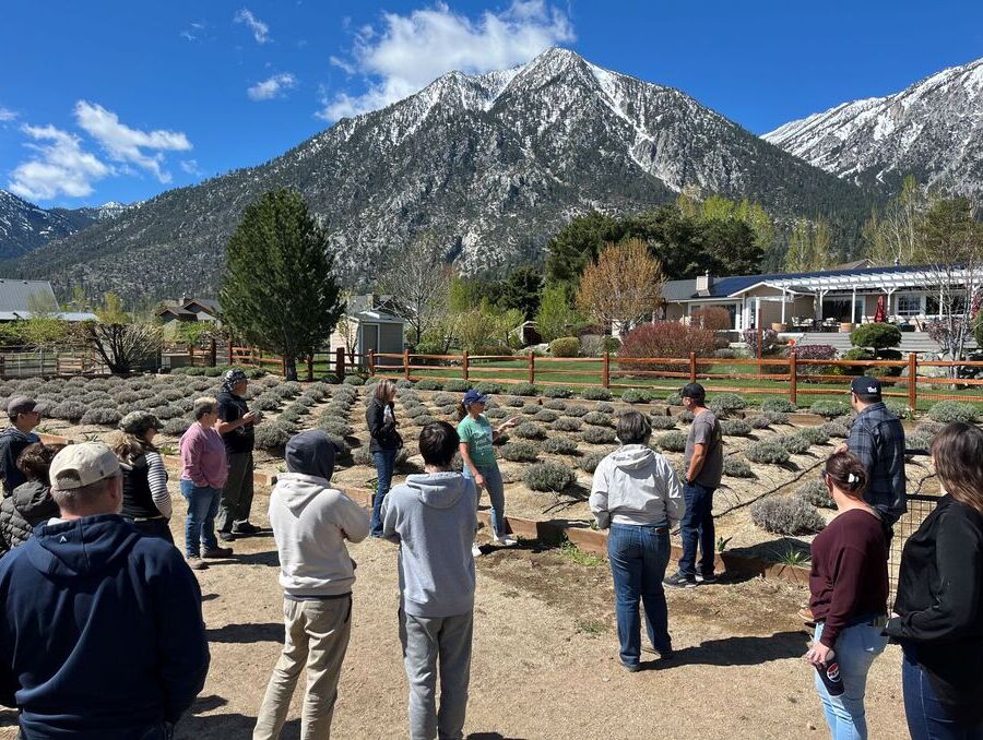 A group of people standing beside a field of young cover crops, with a snowcapped mountain and a farmhouse in the background.