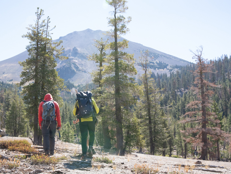 Researchers walk down a hill in Lassen National Park.