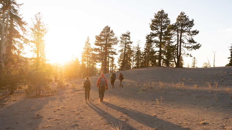 The team walks across a wide path with the sky illuminated at sunset.