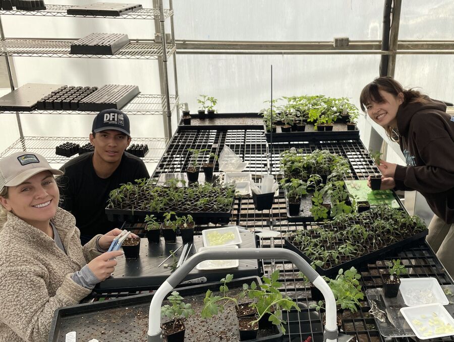 Two women and one man sitting around a table with racks of seedlings. 