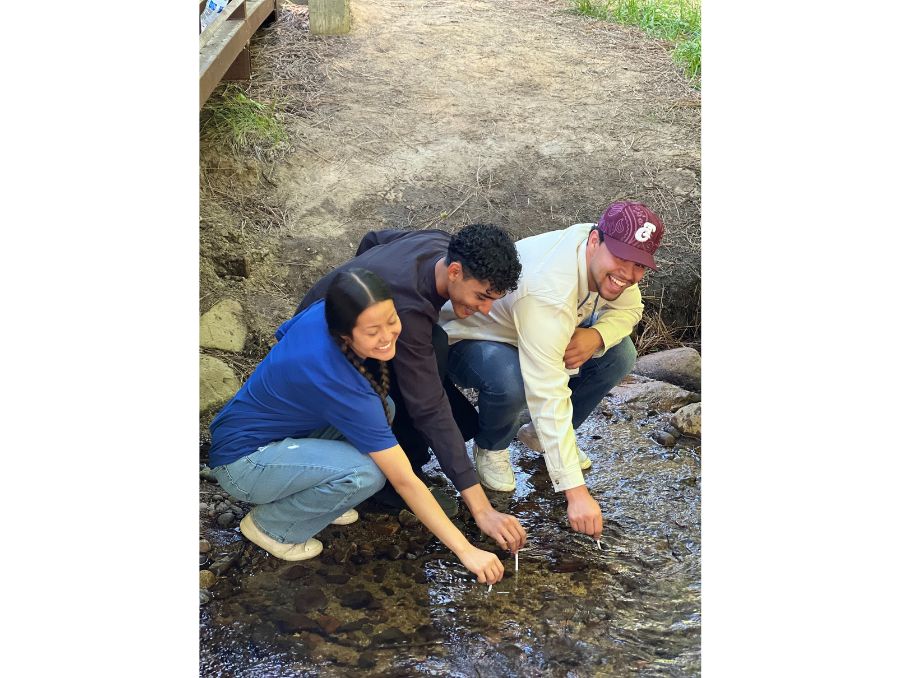 Three students dipping test strips into Lake Tahoe.