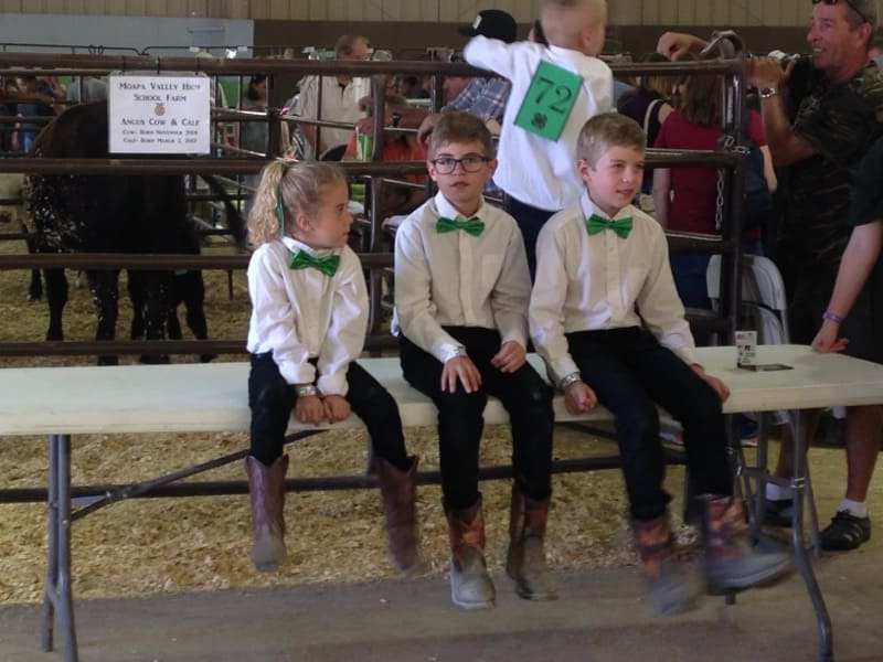 Two boys and a girl in boots, black pants, white shirts and green bow ties sitting on a table in a barn.