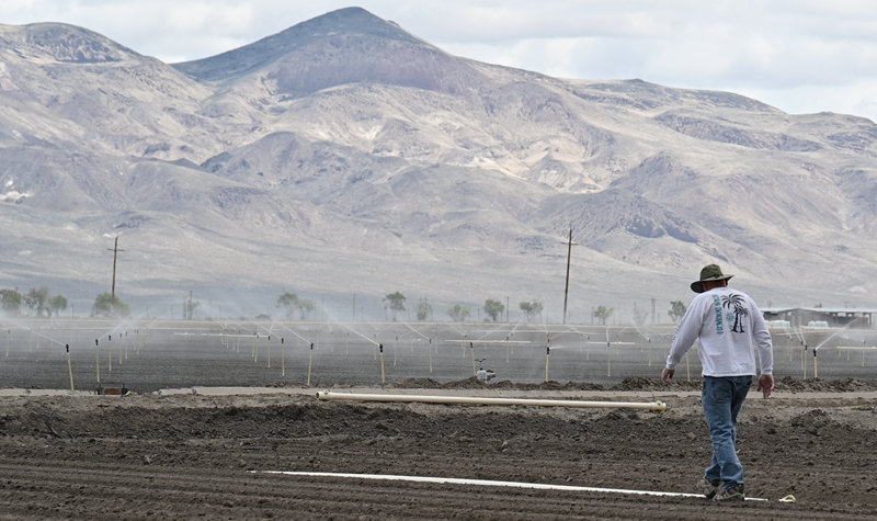 A farm worker walks across a field towards a vast mountain range. 