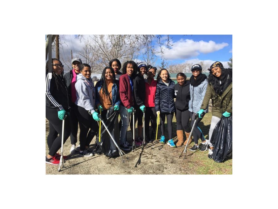 ABLE Women cleaning up the club's adopted park. 